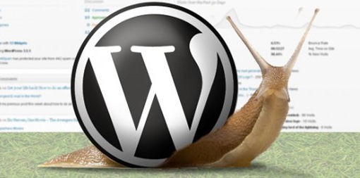[Infographic] 9 Lý do site WordPress chạy chậm và cách xử lý