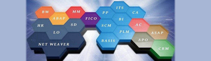 SAP là gì? Tổng quan về nhà cung cấp phần mềm Doanh nghiệp lớn nhất thế giới - Ảnh 3. Một số ứng dụng doanh nghiệp cốt lõi của SAP