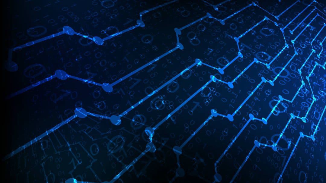 Sniffer là gì? Các công cụ Packet Sniffer phổ biến