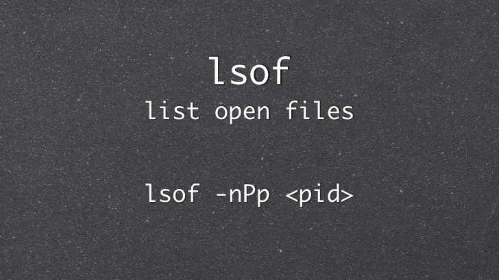 10 ví dụ sử dụng chương trình lệnh "lsof" trên Linux