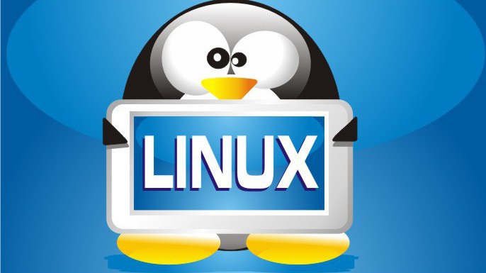 Phân biệt lệnh tìm đường dẫn tuyệt đối “whereis” và “which” trên Linux