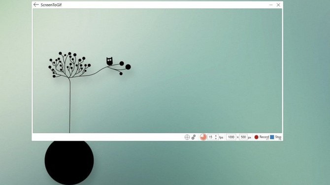 Sử dụng Python lấy dữ liệu ảnh GIF