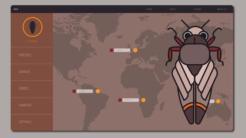 Kiến thức căn bản về Bug và Report Bug