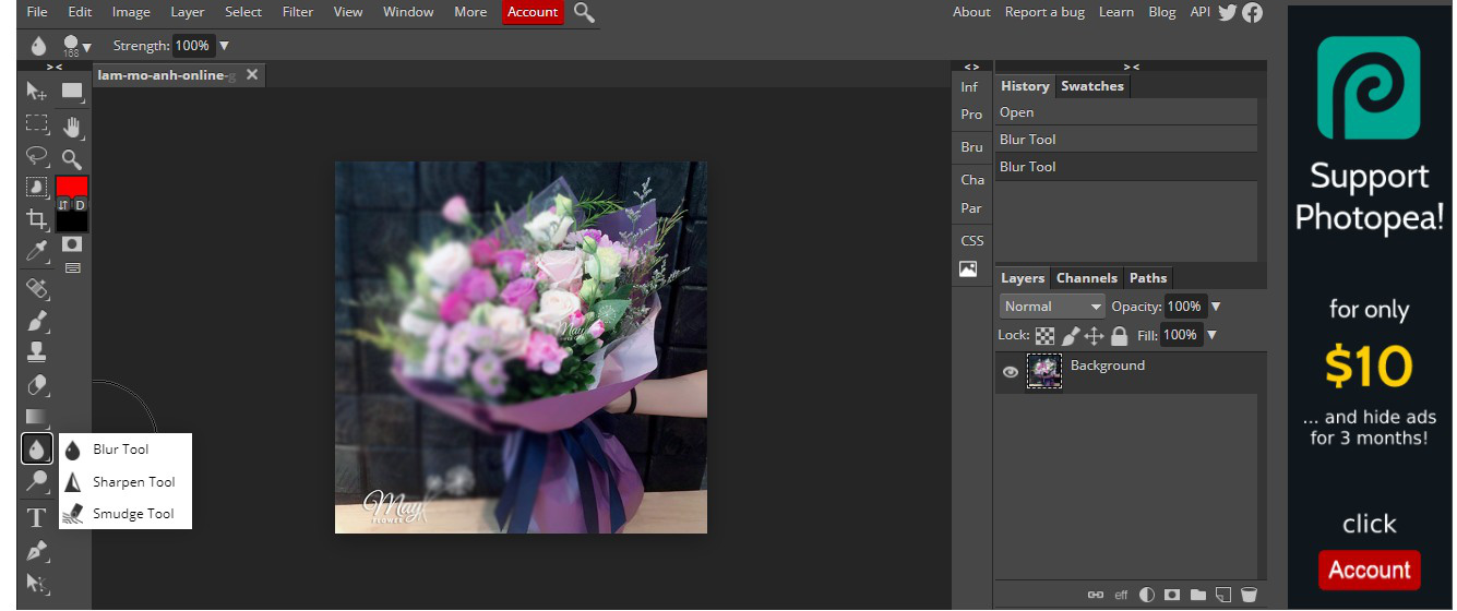 Làm mờ ảnh online bằng Photoshop Online-2