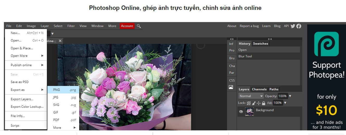 Làm mờ ảnh online bằng Photoshop Online-3