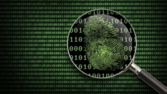 Forensics cyber Wallpapers Download | MobCup