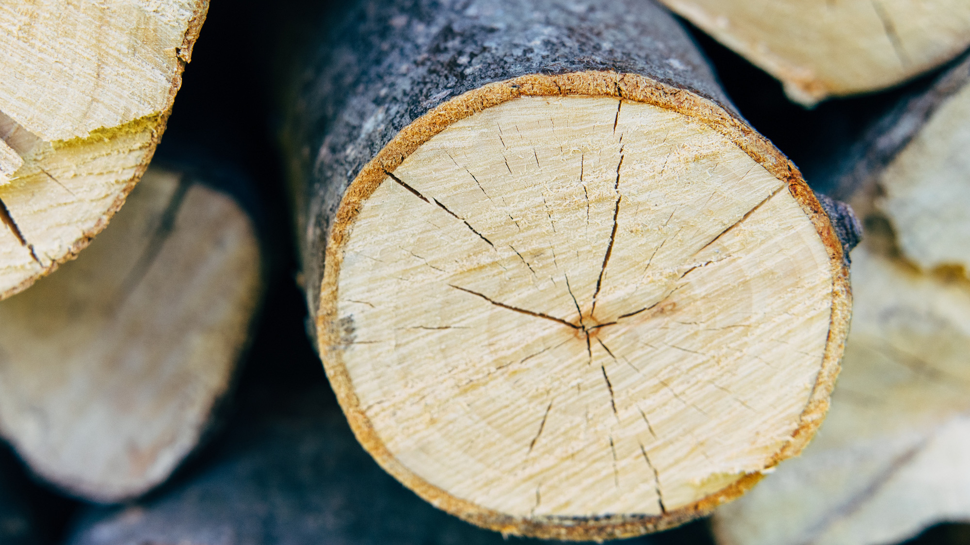 Logging and Logging Best Practices