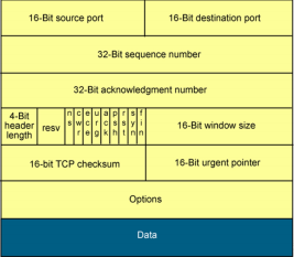 Giao thức TCP và UDP - Phân biệt sự khác nhau cơ bản  - Ảnh 1.