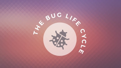 Vòng đời của Bug bạn phải hiểu - Ảnh 3.