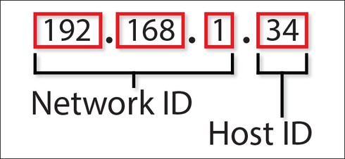 Cách chia IPv4 - Ảnh 1.