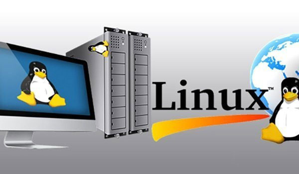 Linux Cloud là gì? Ưu nhược điểm so với Windows Cloud - Ảnh 3.