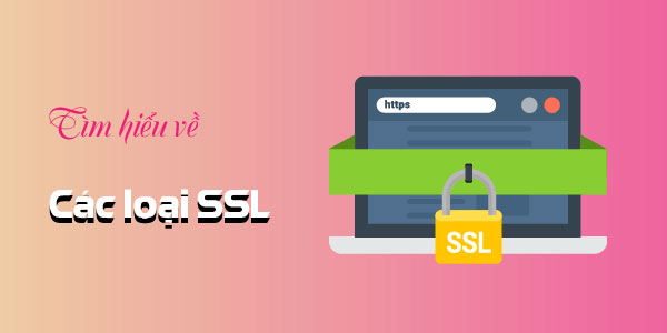 Bao gồm những loại SSL nào
