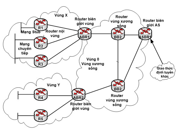 Các loại liên kết trong OSPF