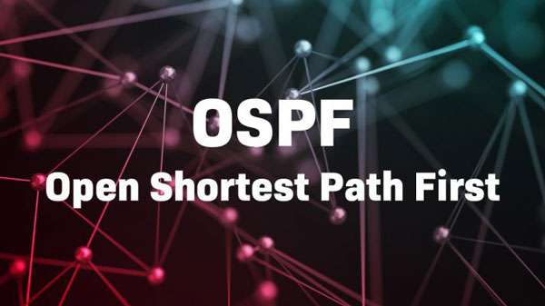 Cách giao thức định tuyến OSPF hoạt động