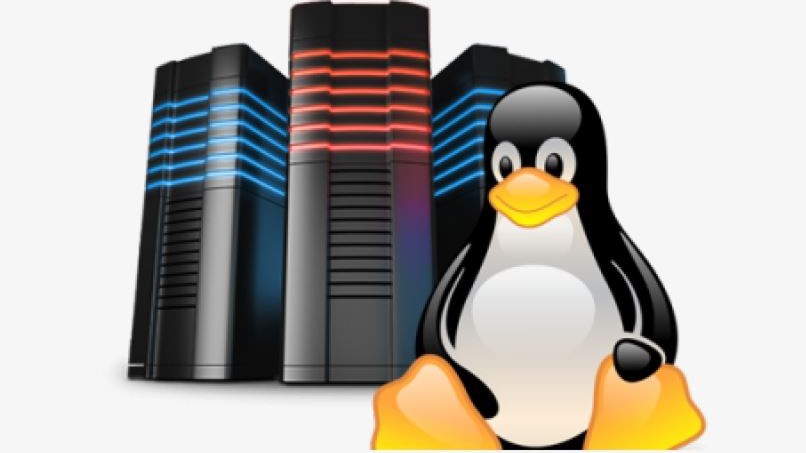VPS Linux free là gì và những lưu ý khi sử dụng