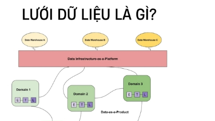 Lưới dữ liệu là gì? Những lợi ích mà lưới dữ liệu mang lại