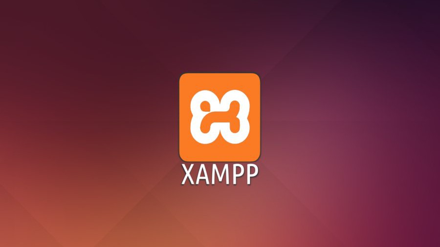 Cách tạo Database trong Xampp theo từng bước chi tiết