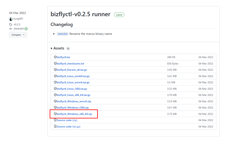 Hướng Dẫn Cài Đặt Bizflyctl Trên Windows