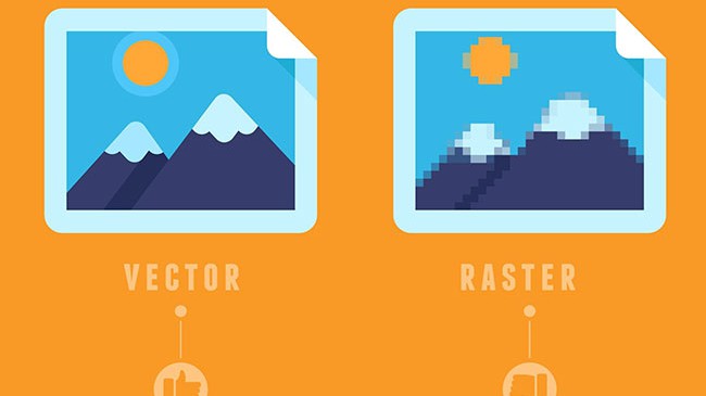 File vector là gì? Đặc điểm và ứng dụng trong lĩnh vực thiết kế