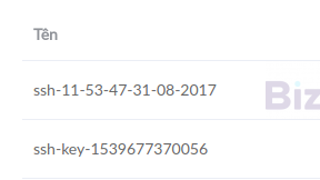 Cách Tạo SSH Key Cho Cloud Server Trên Bizfly Cloud