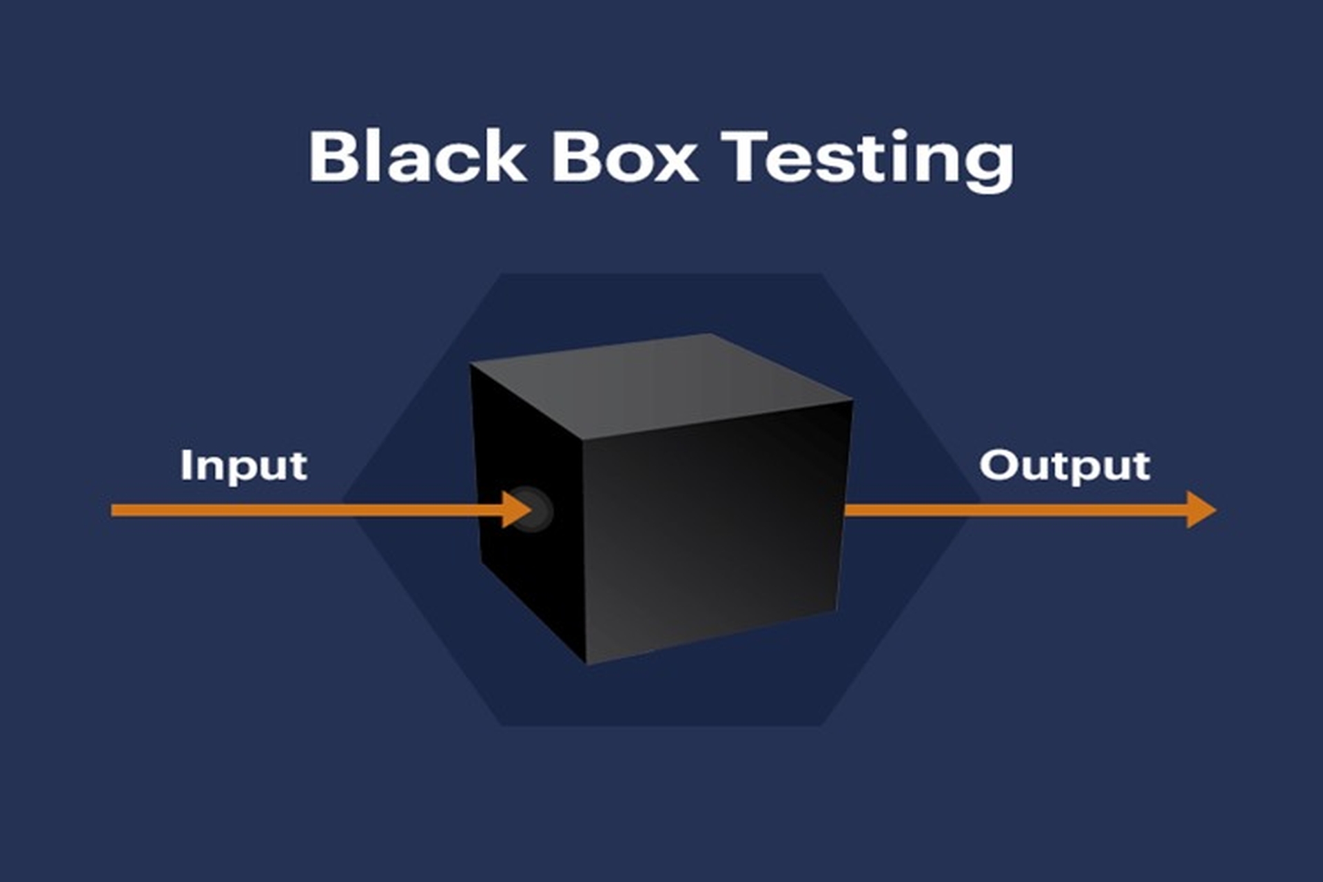 Open Box Testing White Box Testing là gì? Phương pháp hiệu quả nâng cao chất lượng phần mềm