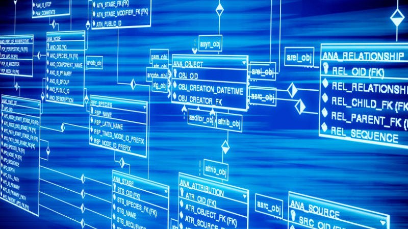 Hướng dẫn thiết kế Database chuẩn chỉ theo từng bước