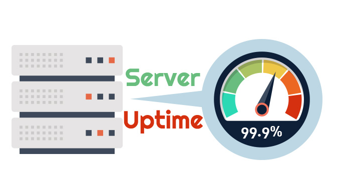 Server Uptime là gì? Cách đo lường và tỷ lệ bao nhiêu là hợp lý?
