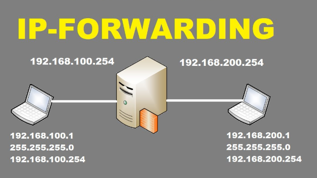 IP Forwarding? Cách thức hoạt động và phương pháp kiểm tra IP Forwarding