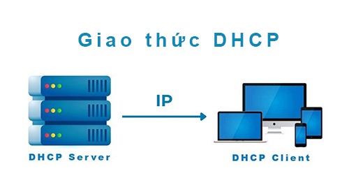 DHCP và IP tĩnh là gì? Nên chọn DHCP hay IP tĩnh?