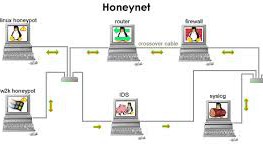Honeynet là gì? Lợi ích của Honeynet trước các cuộc tấn công mạng
