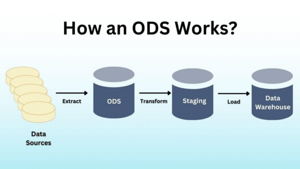 Example Ods Coding ODS là gì? Sự khác biệt giữa ODS và kho dữ liệu