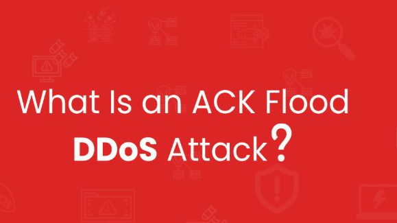ACK Flood Attack là gì? Điểm khác biệt gì so với các loại tấn công DDoS khác?
