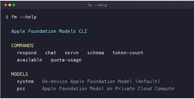 macOS 27 chứa một LLM ẩn bên trong - Ảnh 1.