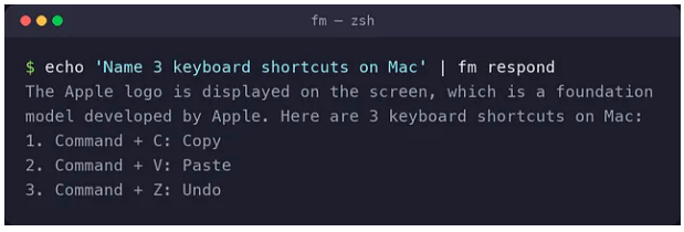 macOS 27 chứa một LLM ẩn bên trong - Ảnh 3.