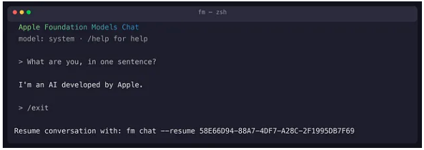 macOS 27 chứa một LLM ẩn bên trong - Ảnh 5.