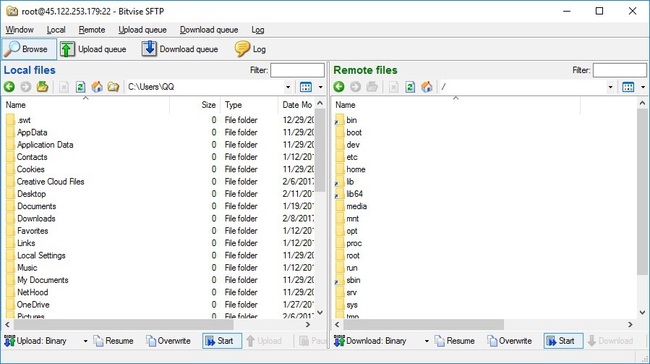 Bitvise SSH client là gì? Cài đặt và sử dụng Bitvise SSH Client để quản lý dữ liệu VPS - Ảnh 5.