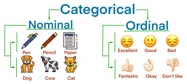 Categorical data là gì?