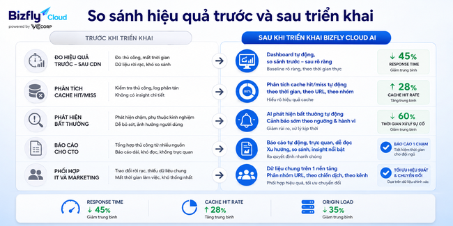 AI đo hiệu quả trước và sau khi dùng CDN cho đội IT  - Ảnh 4.