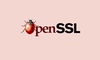 Lỗ hổng nghiêm trọng trong OpenSSL cho phép tin tặc giải mã HTTPS
