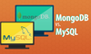 [Infographic] Sử dụng MongoDB hay MySQL?