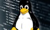 Hướng dẫn mở và khóa đăng nhập mật khẩu của tài khoản user trên Linux