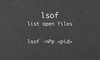 10 ví dụ sử dụng chương trình lệnh "lsof" trên Linux