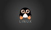 Gửi tin nhắn đến các user đang login với lệnh WALL trên Linux