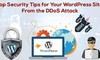 Mẹo bảo mật WordPress hàng đầu khỏi tấn công DDoS