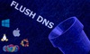 Flush DNS là gì? Cách xóa bộ nhớ cache DNS trên Windows, Linux, MacOS