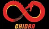 Ghidra - Công cụ miễn phí mạnh mẽ cho Reverse Engineering và hỗ trợ phân tích các phần mềm độc hại