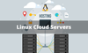 Cách kiểm tra hiệu năng trên Cloud Server Linux – BizFly Cloud Server 