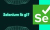 Selenium là gì? Tổng quan những thông tin cần biết về Selenium