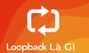 Loopback là gì? Những thông tin đầy đủ nhất về Loopback