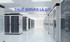 Thuê server là gì? Thuê server hay mua server tối ưu hơn?